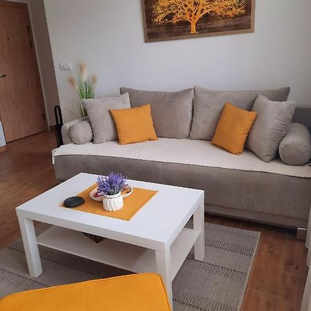 Bankovic Apartman Врнячка-Баня Екстер'єр фото